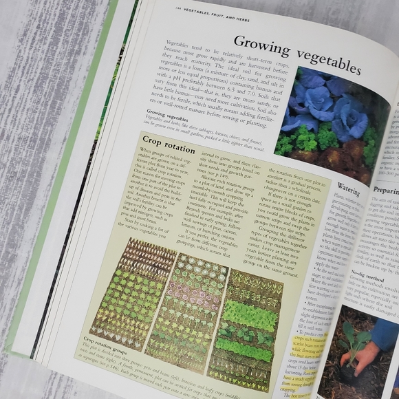 Gardening Basics: How to design ... - Picture 7 of 11